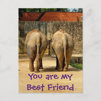 Carte Postale Deux éléphants - mon meilleur ami