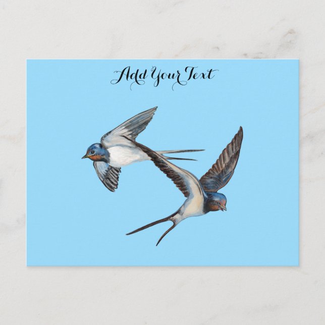 Carte Postale Deux hirondelles de cheminée personnalisées en vol (Devant)