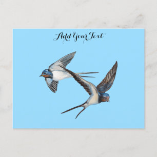Carte Postale Deux hirondelles de cheminée volant personnalisées