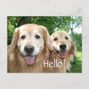 Carte Postale Deux Joyeux Chiens D'Excursion D'Or Dehors
