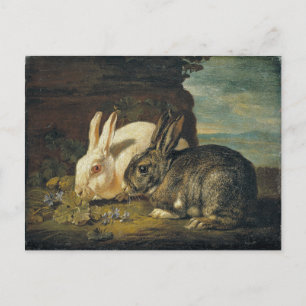 Carte Postale Deux lapins par David de Coninck