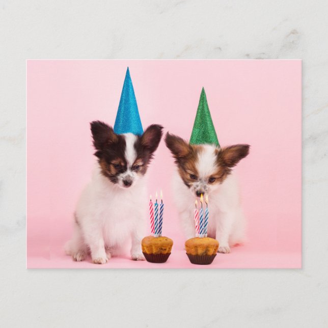 Carte Postale Deux mignons chiots /W Casquettes et bougies d'ann (Devant)