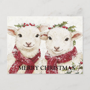 Carte Postale Deux mignons moutons