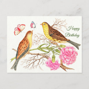 Carte Postale Deux oiseaux bruns et jaunes sur des branches, Ann
