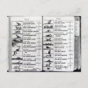 Carte Postale Deux pages de 'Orbis Sensualium Pictus'