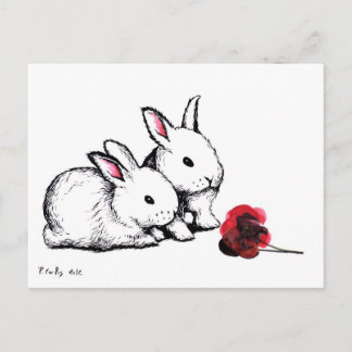 Carte Postale Deux petits lapins blancs