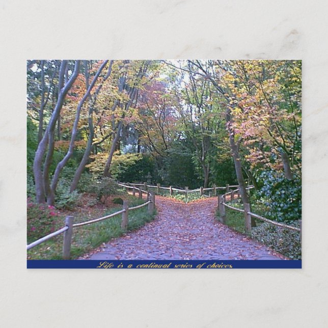 Carte Postale Deux routes (Devant)