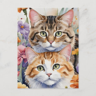 Carte Postale Deux visages de chaton mignons