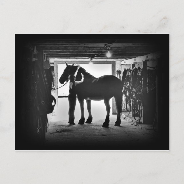 Carte Postale Dévêtement (Devant)