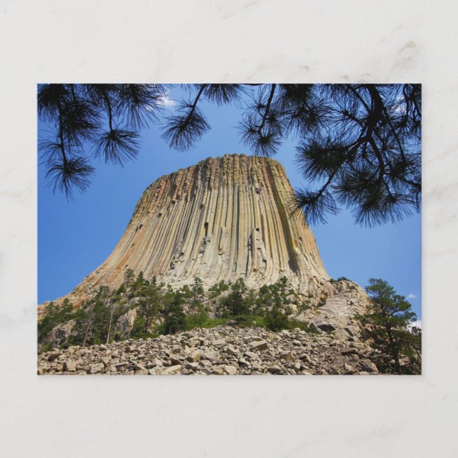 Carte Postale Devil's Tower, Devil's Tower National Monument, WY (Devant)