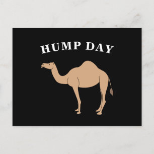 Carte Postale Devinez Quel Jour C'Est Hump Day Camel Desert Anim