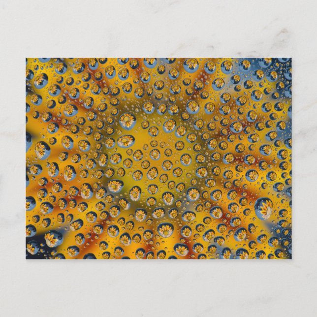 Carte Postale Dew Drop reflet de fleur, Crescent City, (Devant)