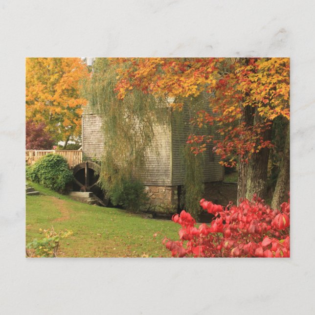 Carte Postale Dexter Grist Mill Sandwich Cape Cod (Devant)