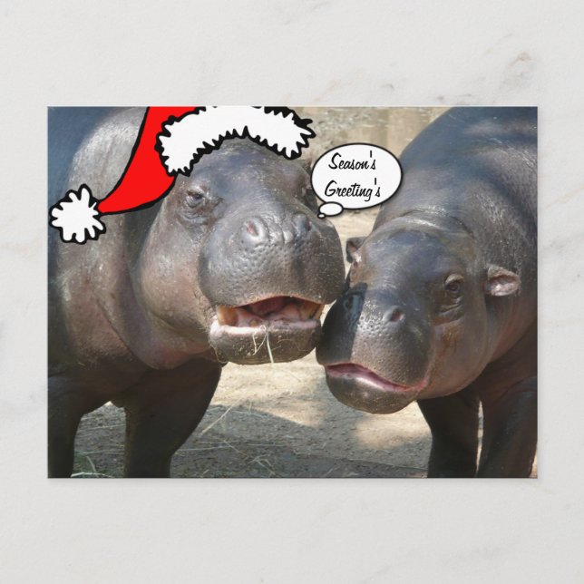 Carte postale d'hippopotame de Père Noël de Noël (Devant)