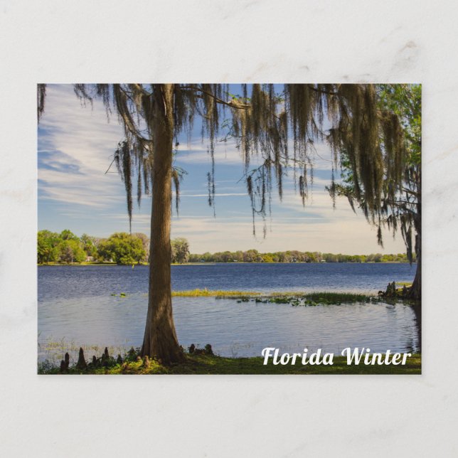 Carte postale d'hiver de Floride (Devant)