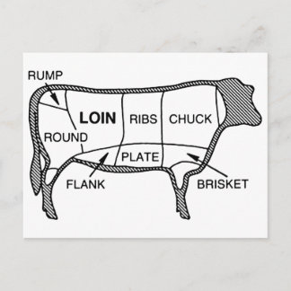 Carte Postale Diagramme de boeuf