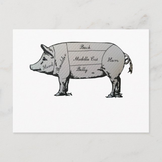 Carte Postale Diagramme de cochon du boucher (Devant)