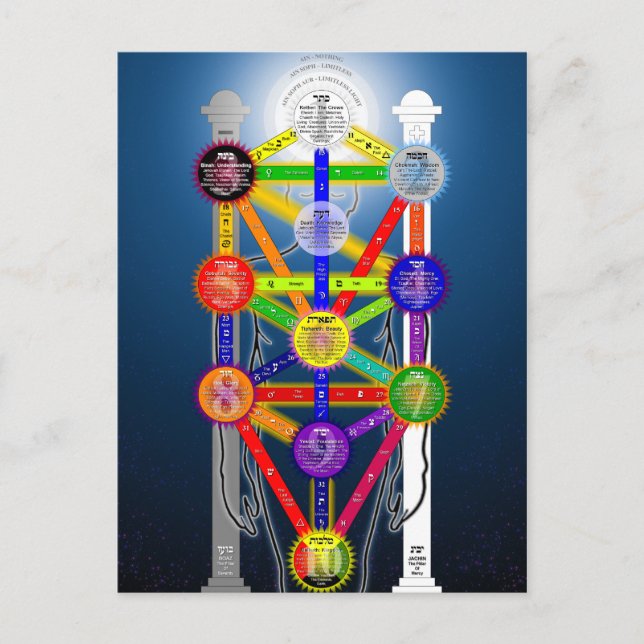 Carte Postale Diagramme de la structure de l'arbre de vie de la  (Devant)
