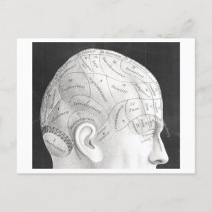 Carte postale Diagramme de Phrenologie vintage