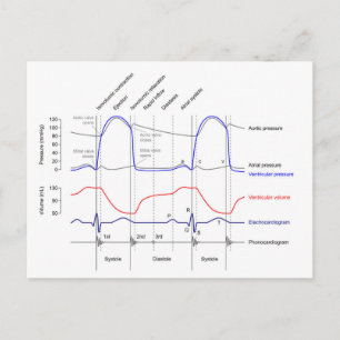 Carte Postale Diagramme de Wiggers événements du cycle cardiaque