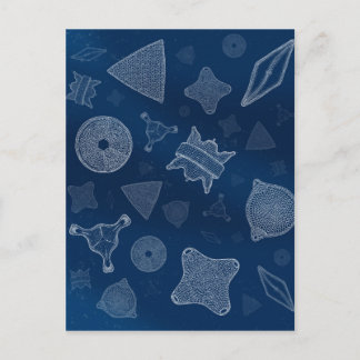 Carte Postale Diatomées - microscopique vie marine