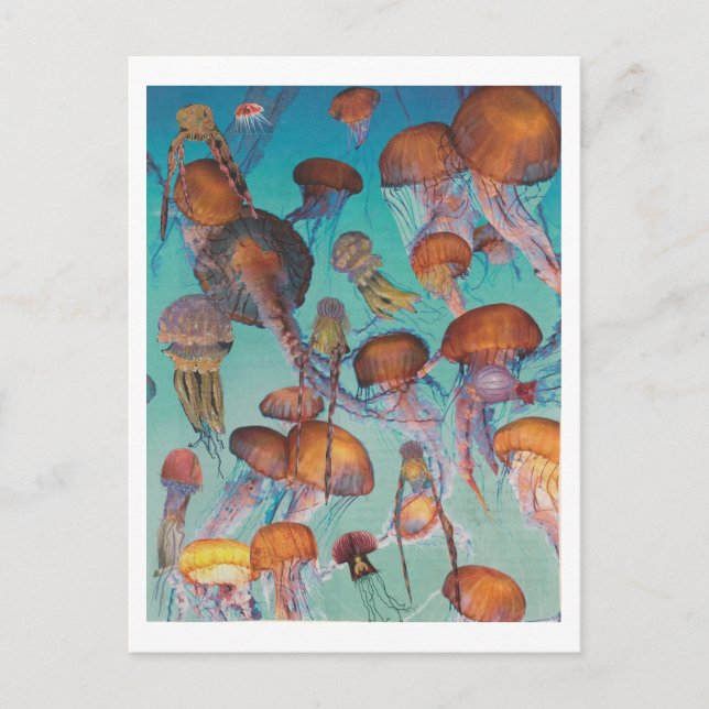 Carte Postale Dibble_Artworks_126_Jellies (Devant)