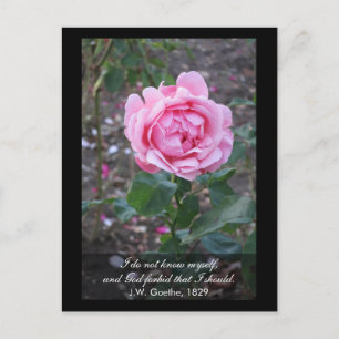 Carte Postale Dieu m'interdit de me connaître - Goethe cite