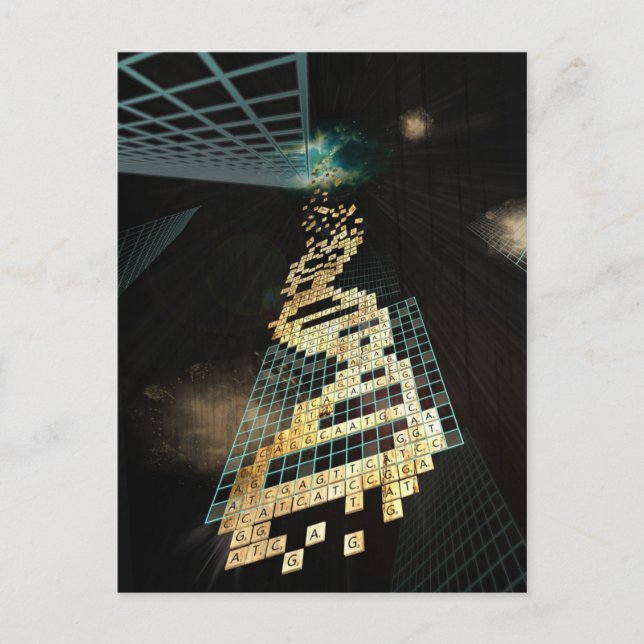 Carte Postale Dieu ne joue pas dés 2014 (Devant)