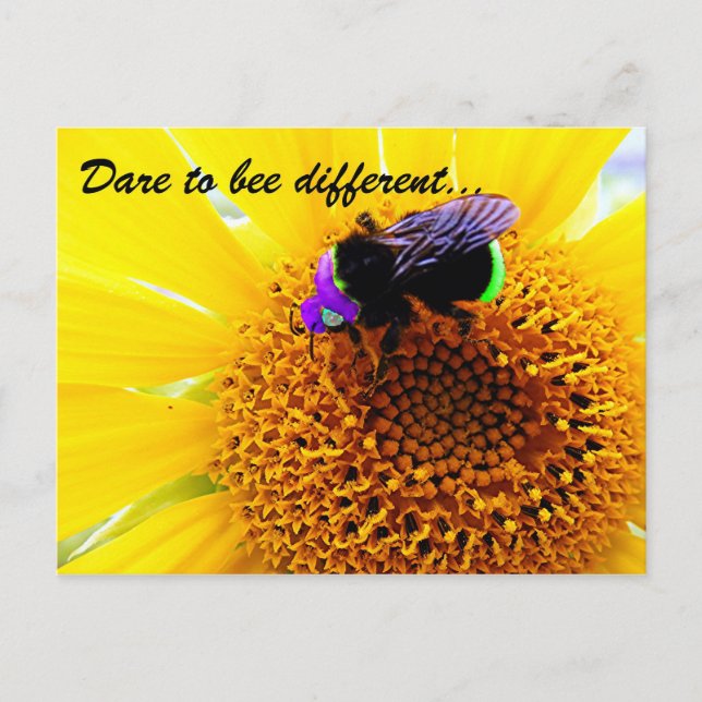 Carte Postale Différent (Devant)