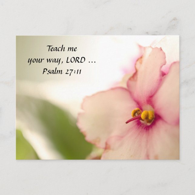 Carte Postale Diffuser les violettes (Devant)