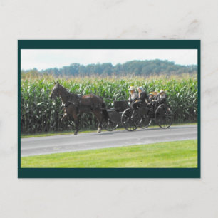 Carte Postale ~ Dimanche après-midi 3 ~