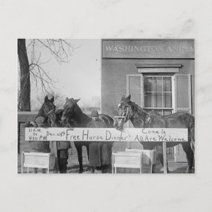 Carte Postale Dîner gratuit pour les chevaux, 1923