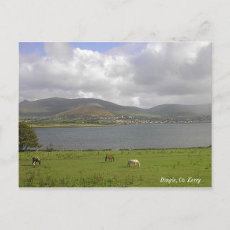 Carte Postale Dingle Bay, Co. Kerry