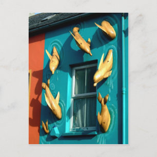 Carte Postale Dingle Dolphins sur Souvenir Shop