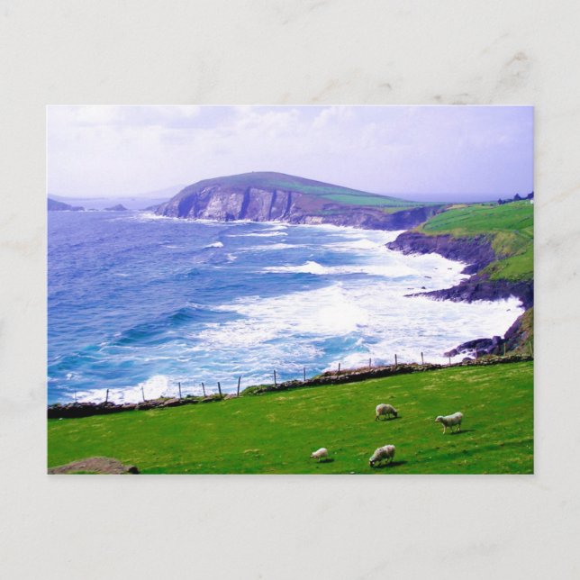 Carte postale Dingle Irlande (Devant)