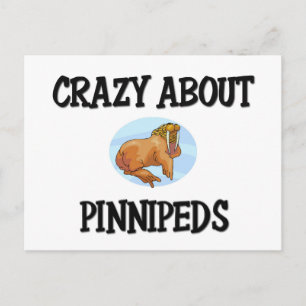 Carte Postale Dingue de Pinnipeds