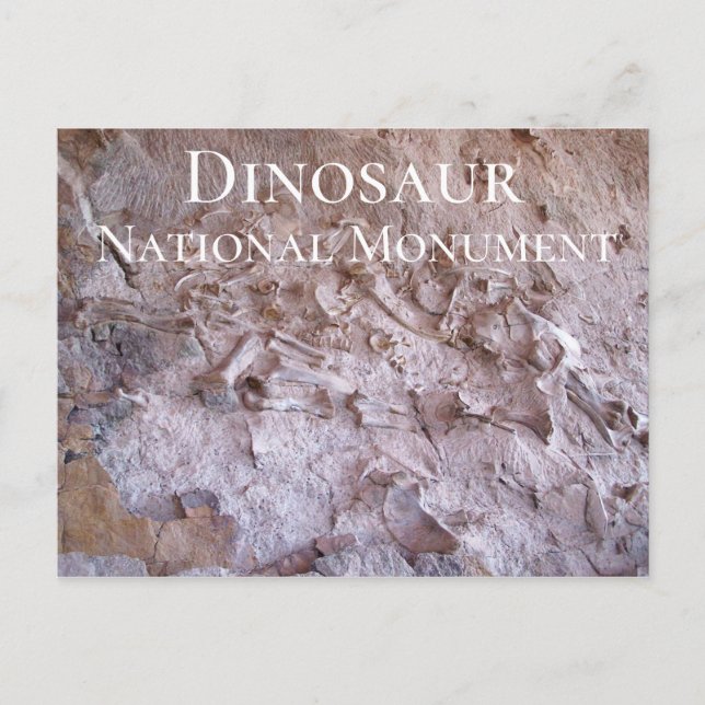 Carte Postale Dinosaur Fossiles Dinosaur Carrière Nationale Monu (Devant)