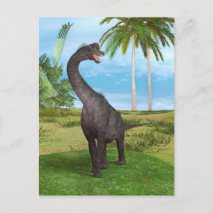 Carte Postale Dinosaure Brachiosaurus