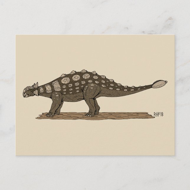 Carte Postale Dinosaure crétacé Ankylosaurus (Devant)