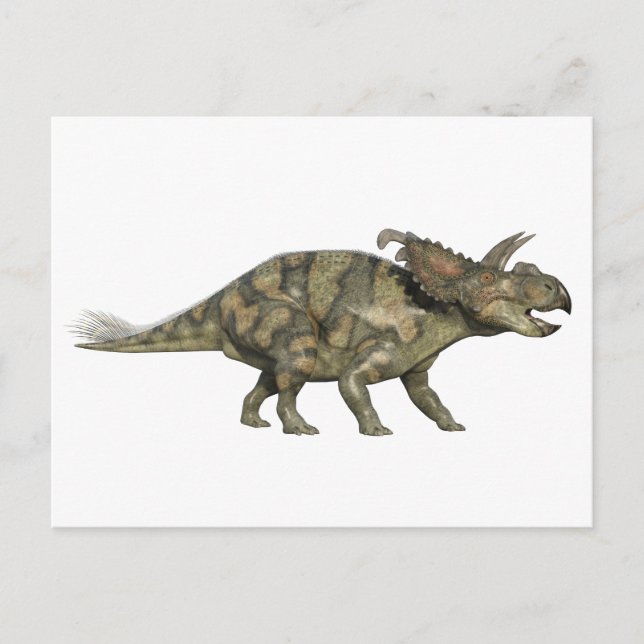 Carte Postale Dinosaure d'Albertaceratops dans le profil latéral (Devant)