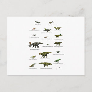 Carte Postale Dinosaures