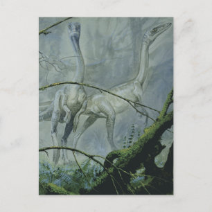 Carte Postale Dinosaures vintages, Megapnosaurus alias Syntarsus