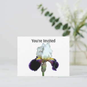 Carte postale d'invitation Iris Violet et Blanc