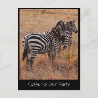 Carte postale d'invitation Zèbre