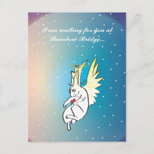 CARTE POSTALE DIRE "BONJOUR"