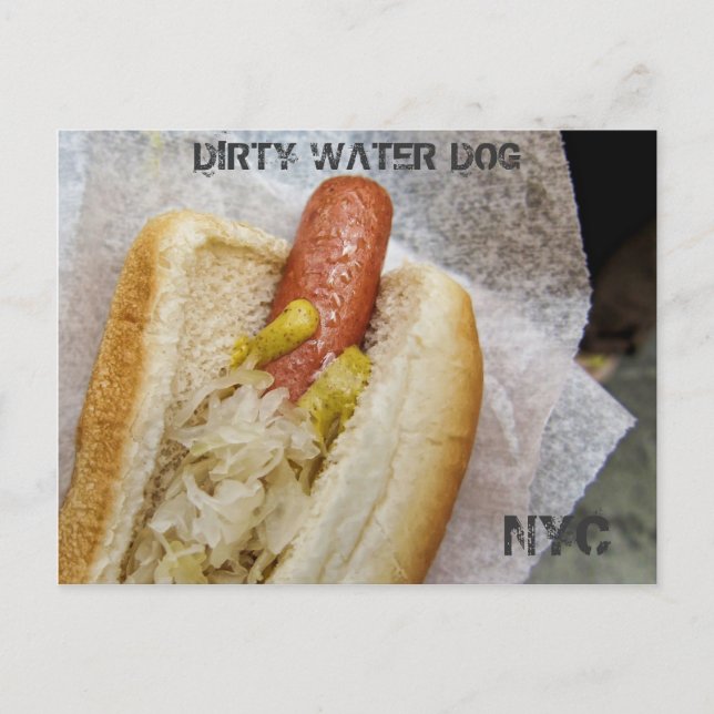 Carte postale Dirty Water Dog NYC (Devant)