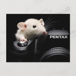 Carte Postale Dis Fromage !