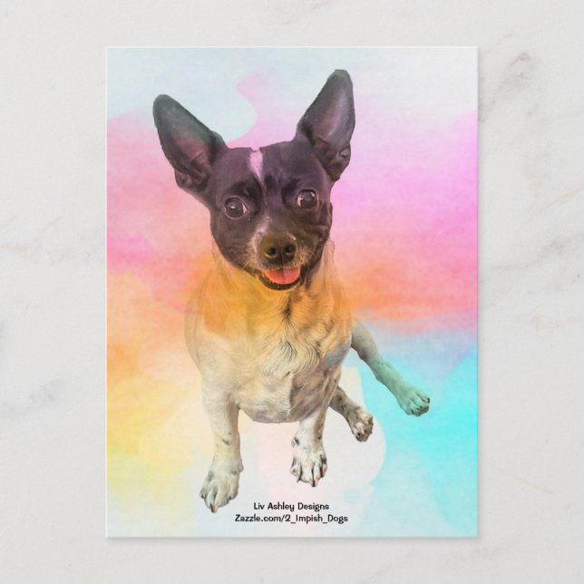 Carte postale disco de Gemma (Devant)