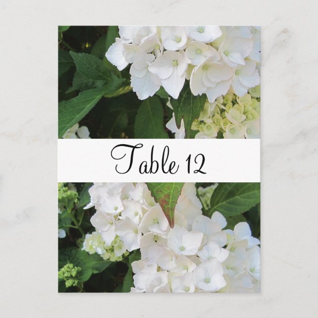 Carte Postale Disposition de table aux hortensias blancs (Devant)