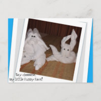 Dites Cheeeseee mon petit visage drôle !